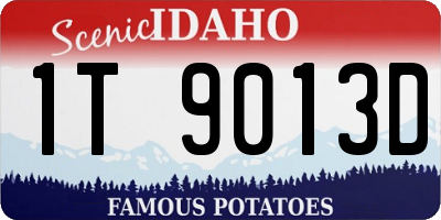 ID license plate 1T9013D