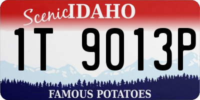 ID license plate 1T9013P