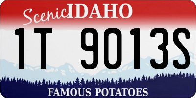 ID license plate 1T9013S