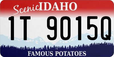 ID license plate 1T9015Q