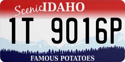 ID license plate 1T9016P