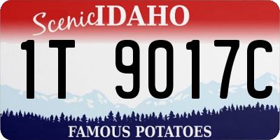 ID license plate 1T9017C