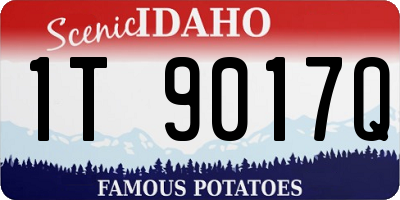 ID license plate 1T9017Q