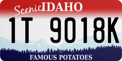 ID license plate 1T9018K