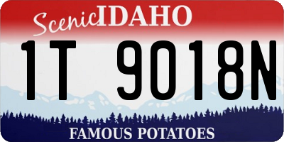 ID license plate 1T9018N