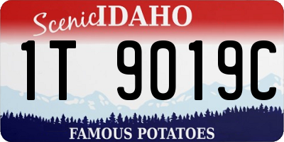 ID license plate 1T9019C