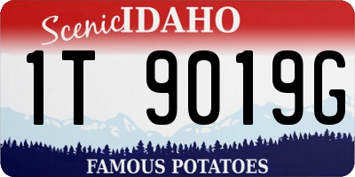 ID license plate 1T9019G
