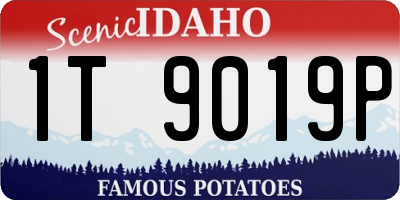 ID license plate 1T9019P