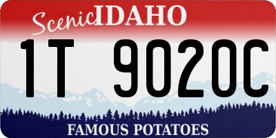 ID license plate 1T9020C