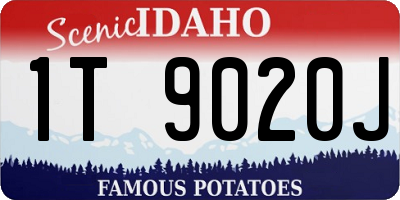 ID license plate 1T9020J
