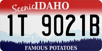 ID license plate 1T9021B
