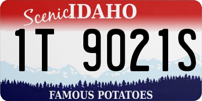 ID license plate 1T9021S
