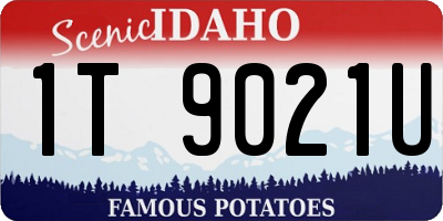 ID license plate 1T9021U