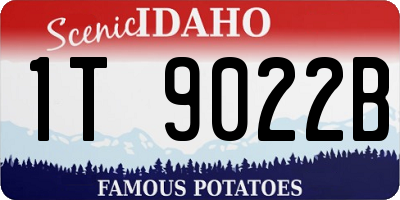 ID license plate 1T9022B