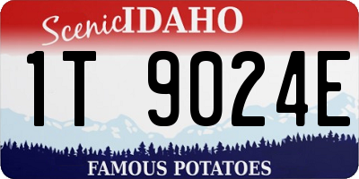 ID license plate 1T9024E