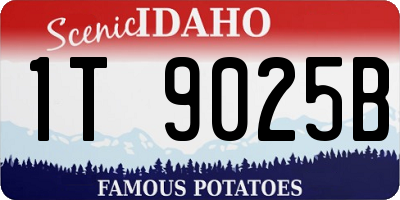 ID license plate 1T9025B