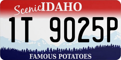 ID license plate 1T9025P
