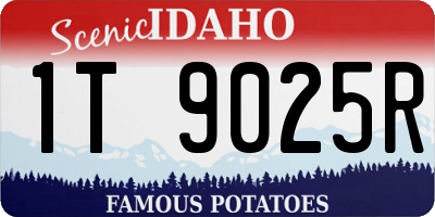 ID license plate 1T9025R