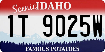 ID license plate 1T9025W