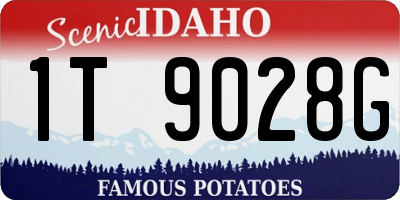 ID license plate 1T9028G