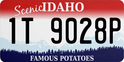 ID license plate 1T9028P
