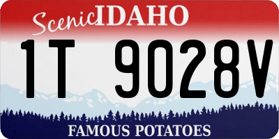 ID license plate 1T9028V
