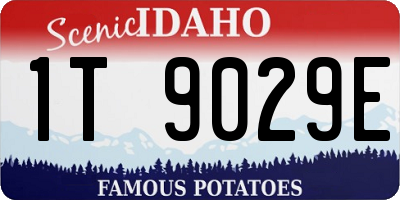 ID license plate 1T9029E