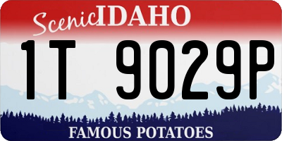 ID license plate 1T9029P