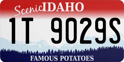 ID license plate 1T9029S