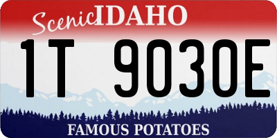 ID license plate 1T9030E