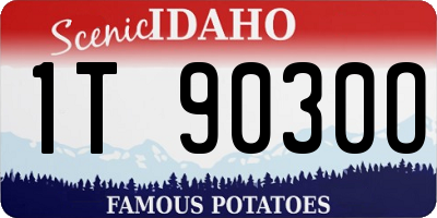 ID license plate 1T9030O