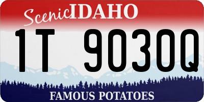 ID license plate 1T9030Q