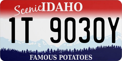 ID license plate 1T9030Y