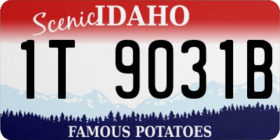 ID license plate 1T9031B