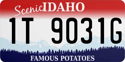 ID license plate 1T9031G