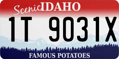 ID license plate 1T9031X