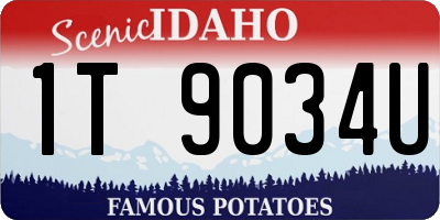 ID license plate 1T9034U