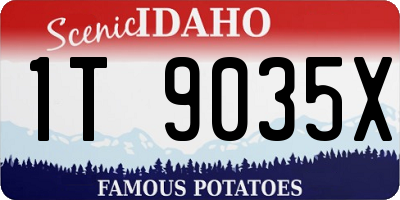ID license plate 1T9035X