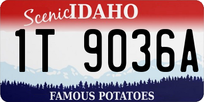 ID license plate 1T9036A