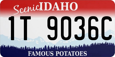 ID license plate 1T9036C