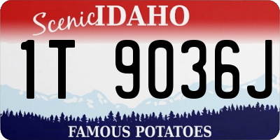 ID license plate 1T9036J