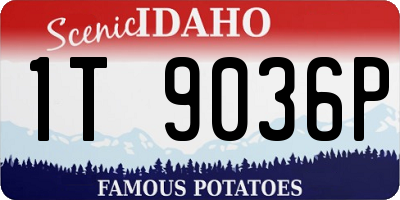 ID license plate 1T9036P