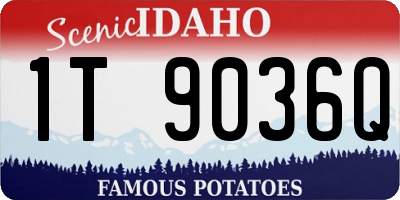 ID license plate 1T9036Q