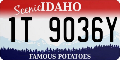 ID license plate 1T9036Y