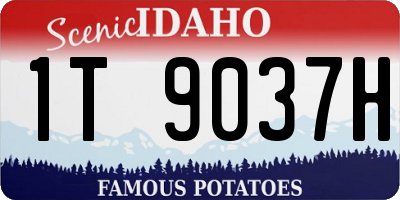ID license plate 1T9037H