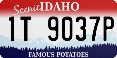 ID license plate 1T9037P