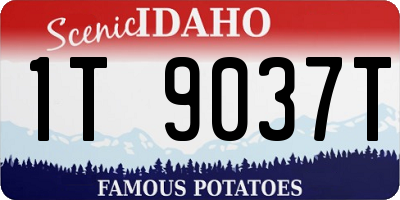 ID license plate 1T9037T