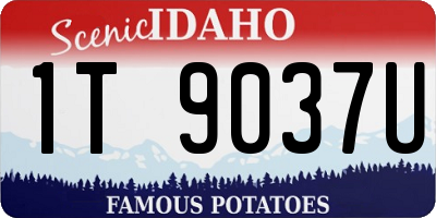 ID license plate 1T9037U
