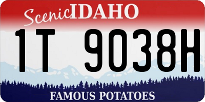 ID license plate 1T9038H