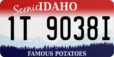 ID license plate 1T9038I
